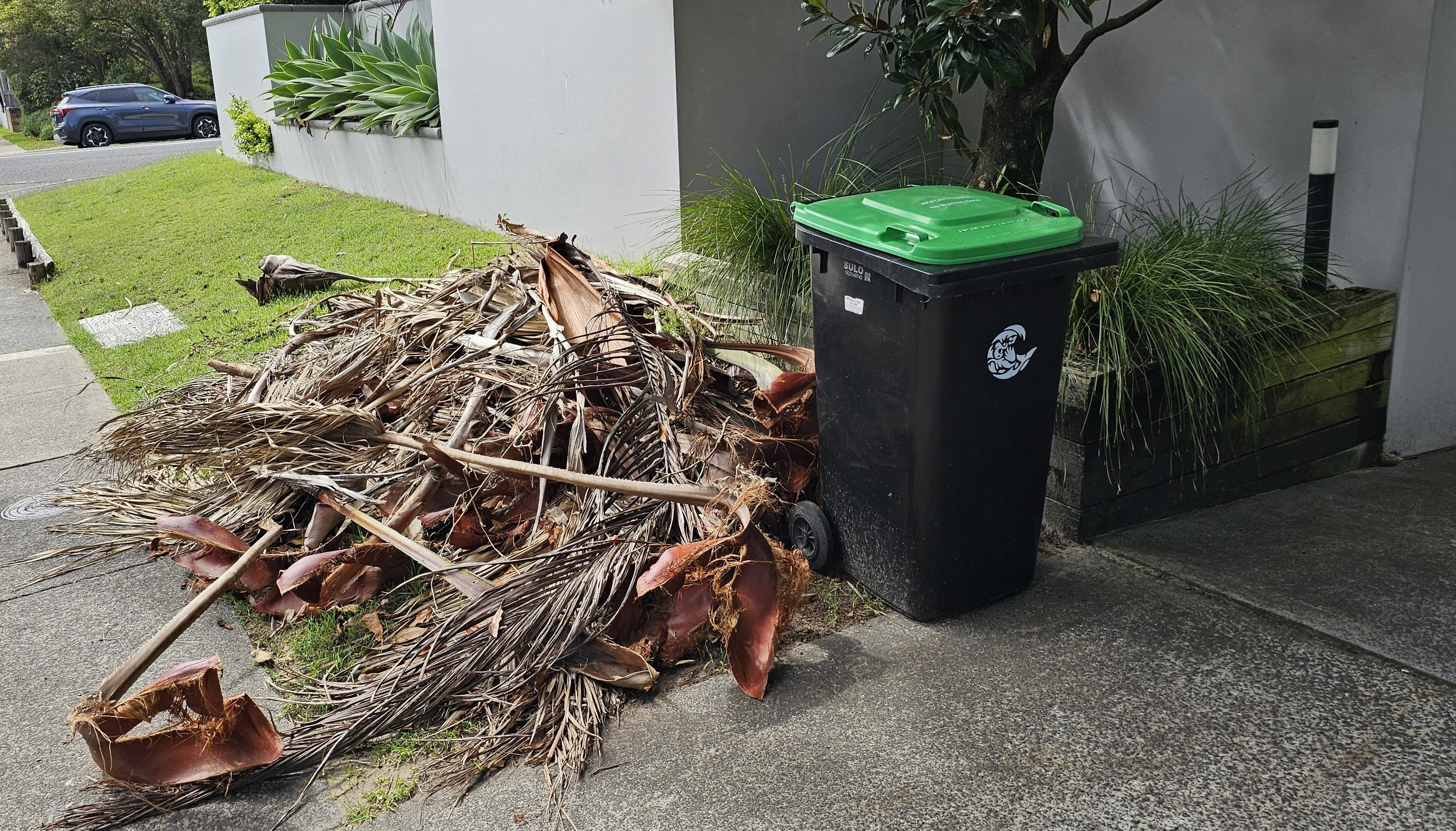 Illustration of Garden Clean Up